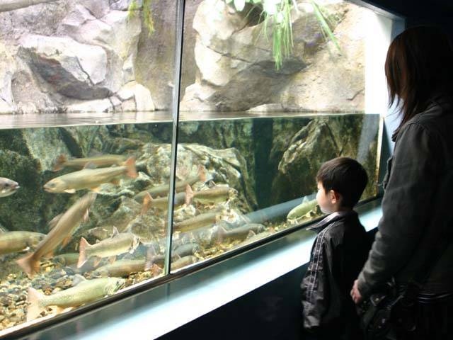 行田 羽生で必ず行きたい ガイド編集部おすすめの水族館スポット まっぷるトラベルガイド