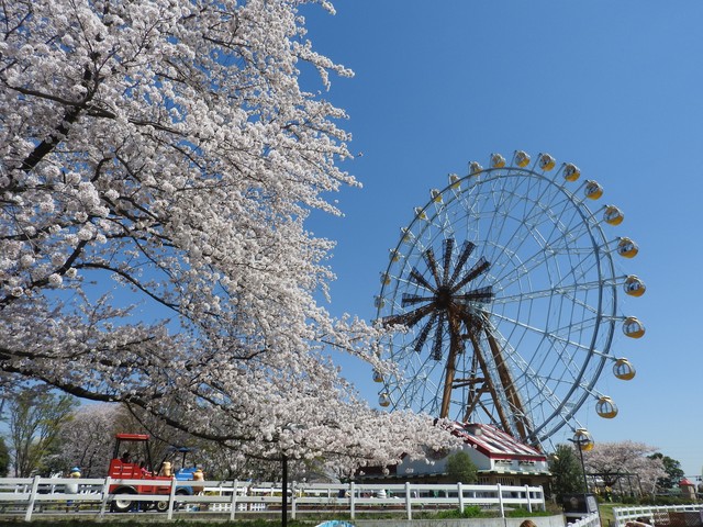 東武動物公園 ー 広大な敷地に遊園地と動物園を併設 営業時間 場所 地図等の情報 まっぷるトラベルガイド