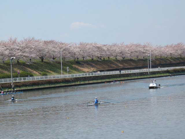高島平駅観光ならここ 高島平駅でおすすめの観光 旅行スポット 2021版 まっぷるトラベルガイド