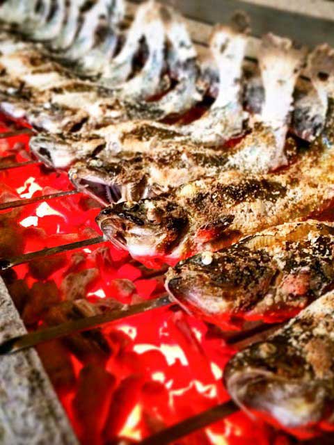 首都圏で必ず行きたい ガイド編集部おすすめの管理釣り場スポット まっぷるトラベルガイド