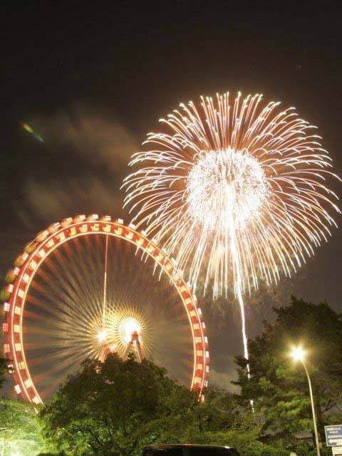 所沢 狭山 入間のおすすめの花火大会スポット