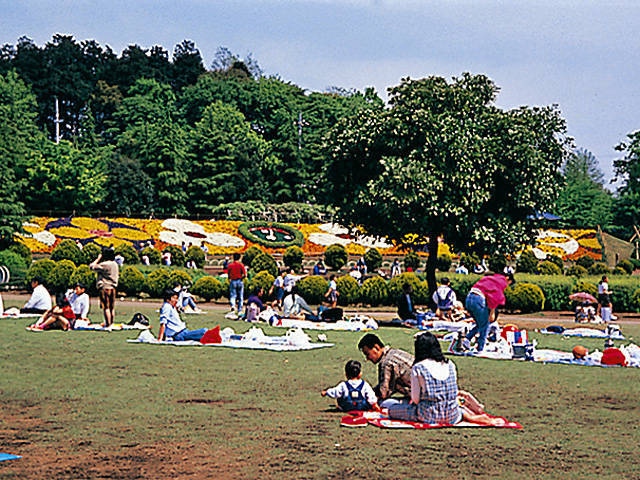 浦和で必ず行きたい ガイド編集部おすすめの公園スポット まっぷるトラベルガイド