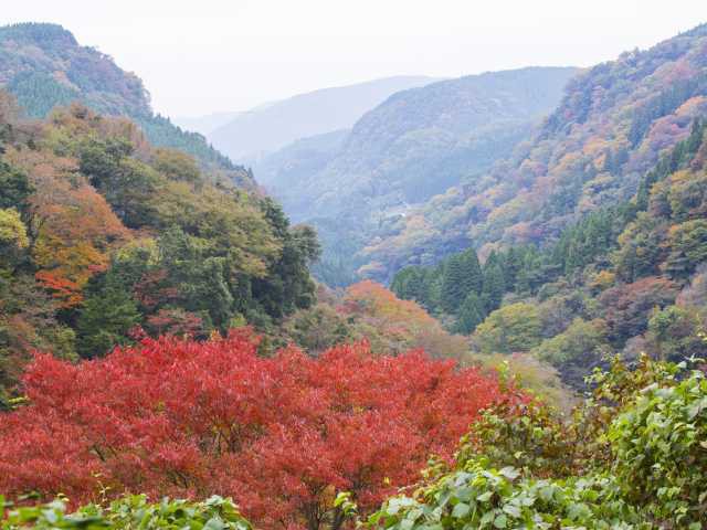 九酔渓の営業時間 場所 地図等の情報 まっぷるトラベルガイド