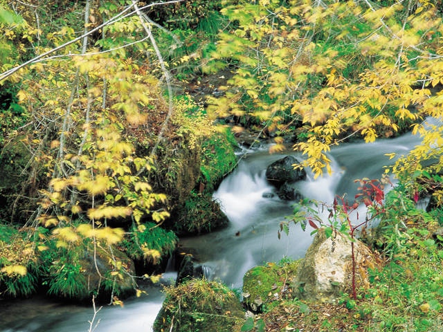 九酔渓 ー 九重きっての紅葉の名所 営業時間 場所 地図等の情報 まっぷるトラベルガイド 九酔渓 ー 九重きっての紅葉の名所 営業時間 場所 地図等の情報 まっぷるトラベルガイド