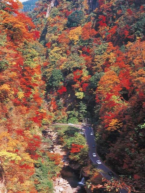 九酔渓 ー 九重きっての紅葉の名所 営業時間 場所 地図等の情報 まっぷるトラベルガイド 九酔渓 ー 九重きっての紅葉の名所 営業時間 場所 地図等の情報 まっぷるトラベルガイド
