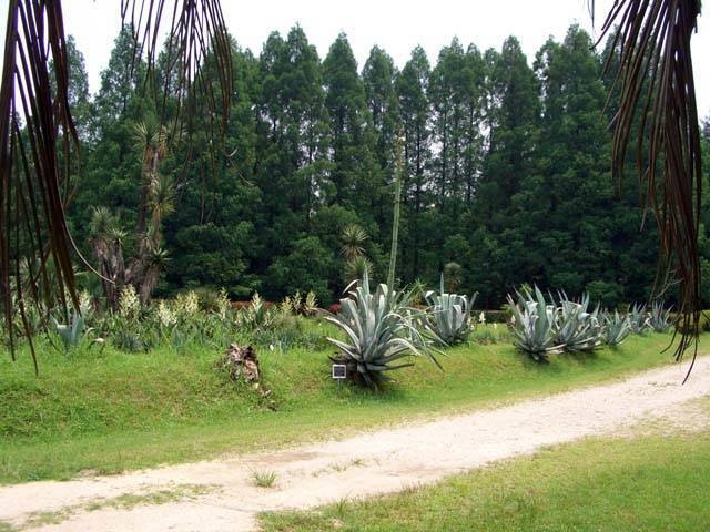 大阪で必ず行きたい ガイド編集部おすすめの植物園スポット まっぷるトラベルガイド