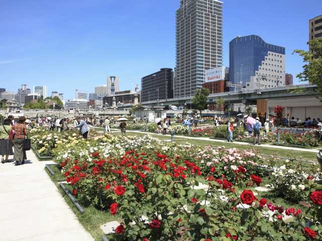 大阪で必ず行きたい ガイド編集部おすすめのその他花の名所スポット まっぷるトラベルガイド