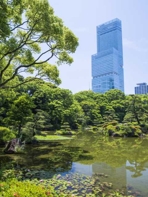 大阪で必ず行きたい!ガイド編集部おすすめの庭園スポット | まっぷるトラベルガイド