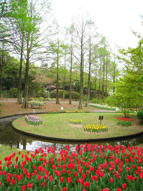 関西で必ず行きたい ガイド編集部おすすめの植物園スポット まっぷるトラベルガイド
