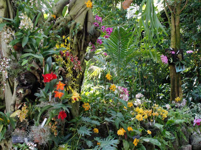 大阪で必ず行きたい ガイド編集部おすすめの植物園スポット まっぷるトラベルガイド