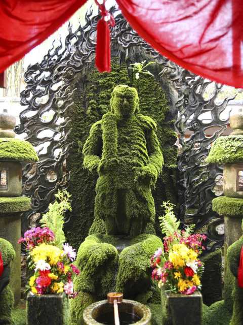 水掛不動(法善寺) | まっぷるウェブ