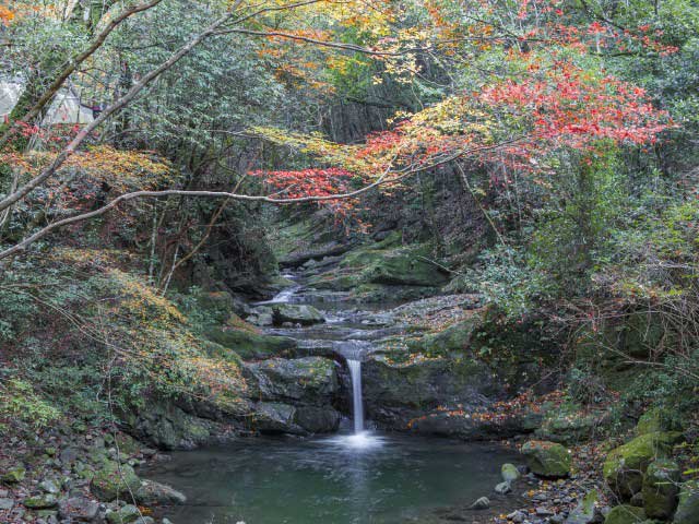 犬鳴山の紅葉の営業時間 場所 地図等の情報 まっぷるトラベルガイド