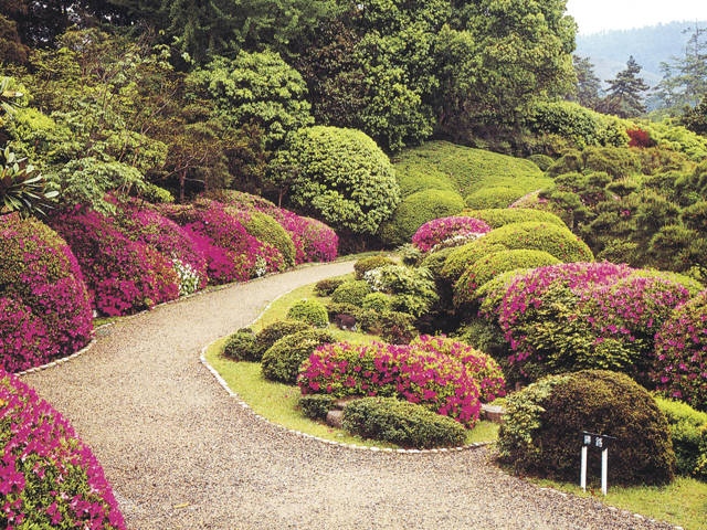 奈良で必ず行きたい ガイド編集部おすすめのその他花の名所スポット まっぷるトラベルガイド