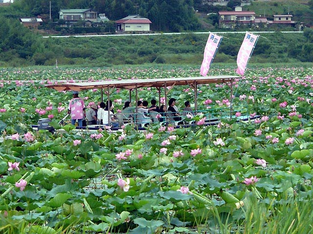 伊豆沼に行くならここ ガイド編集部厳選のおすすめ観光 旅行スポット まっぷるトラベルガイド