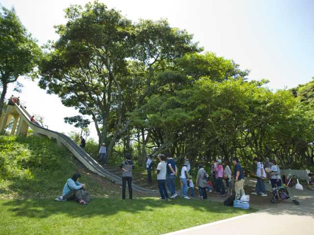 鹿児島 宮崎で必ず行きたい ガイド編集部おすすめの遊園地 テーマパークスポット まっぷるトラベルガイド