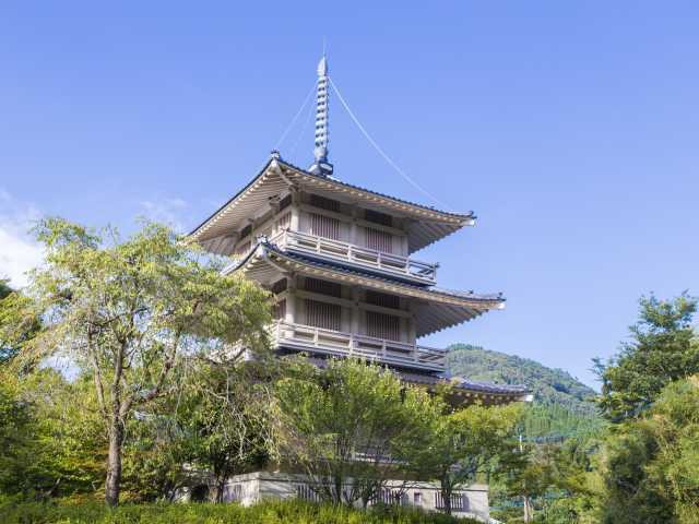 浄専寺のしだれ桜の営業時間 場所 地図等の情報 まっぷるトラベルガイド