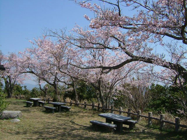 中国 四国で必ず行きたい ガイド編集部おすすめの桜の名所スポット まっぷるトラベルガイド