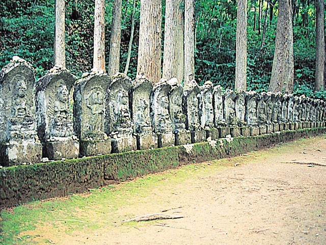 白布温泉 天元台で必ず行きたい ガイド編集部おすすめの見どころ 体験スポット まっぷるトラベルガイド