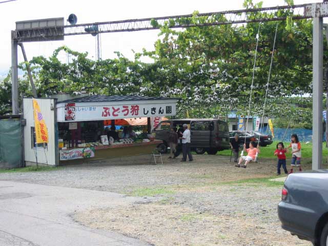 米沢で必ず行きたい ガイド編集部おすすめの体験 アクティビティスポット まっぷるトラベルガイド