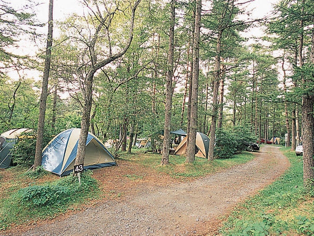 山中湖 忍野で必ず行きたい ガイド編集部おすすめのキャンプ場スポット まっぷるトラベルガイド