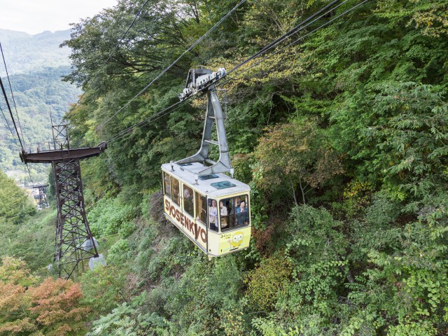 関東 甲信越で必ず行きたい ガイド編集部おすすめのロープウェイなどスポット まっぷるトラベルガイド