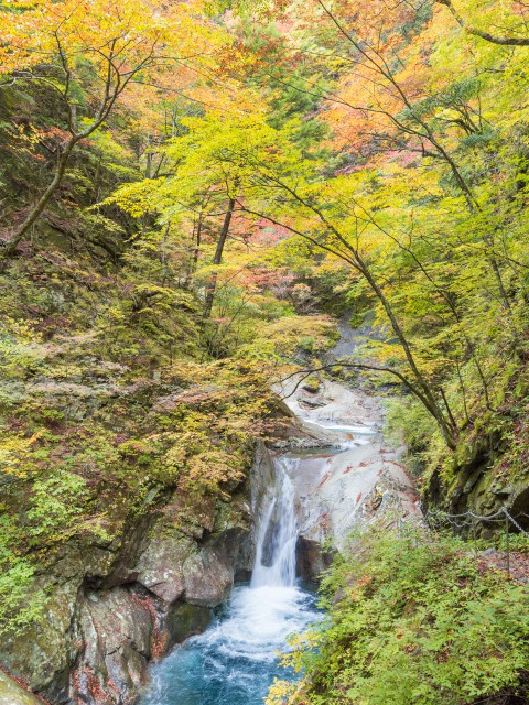 西沢渓谷の紅葉の営業時間 場所 地図等の情報 まっぷるトラベルガイド