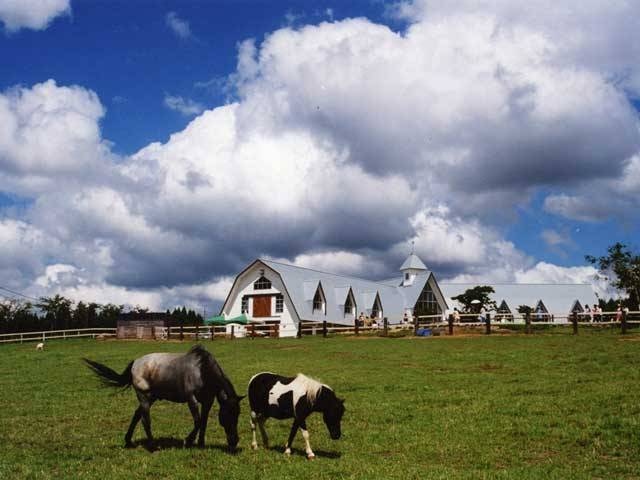 ひるがの高原観光ならここ ひるがの高原でおすすめの観光 旅行スポット 21版 まっぷるトラベルガイド