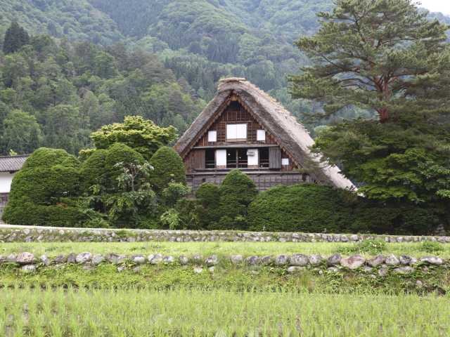 和田家の営業時間 場所 地図等の情報 まっぷるトラベルガイド