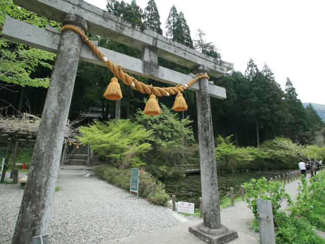 根道神社 名もなき池 モネの池 の営業時間 場所 地図等の情報 まっぷるトラベルガイド