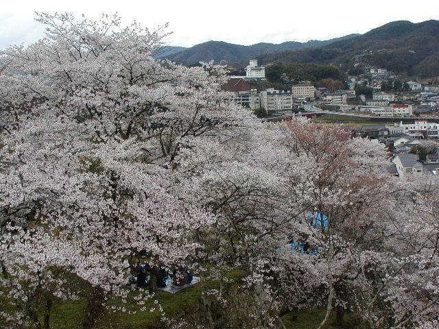 津山に行くならここ ガイド編集部厳選のおすすめ観光 旅行スポット まっぷるトラベルガイド