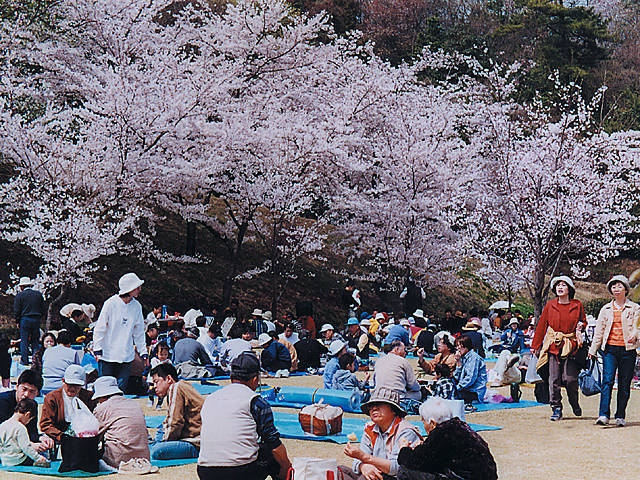 みやま公園の営業時間 場所 地図等の情報 まっぷるトラベルガイド