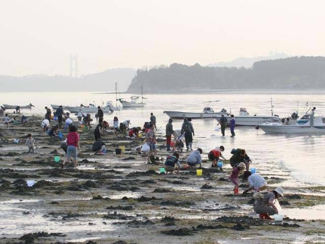 ここがおすすめ ガイド編集部厳選の日本の潮干狩りスポット まっぷるトラベルガイド