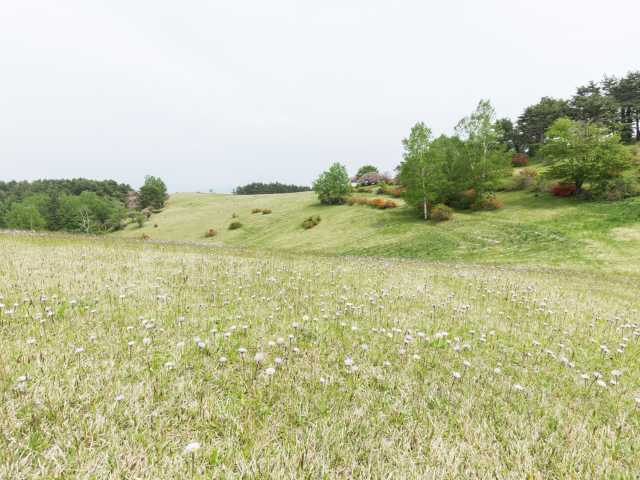 高森高原 2枚目の画像 まっぷるトラベルガイド