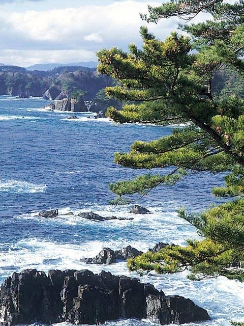 三陸海岸で必ず行きたい ガイド編集部おすすめの海岸 浜スポット まっぷるトラベルガイド