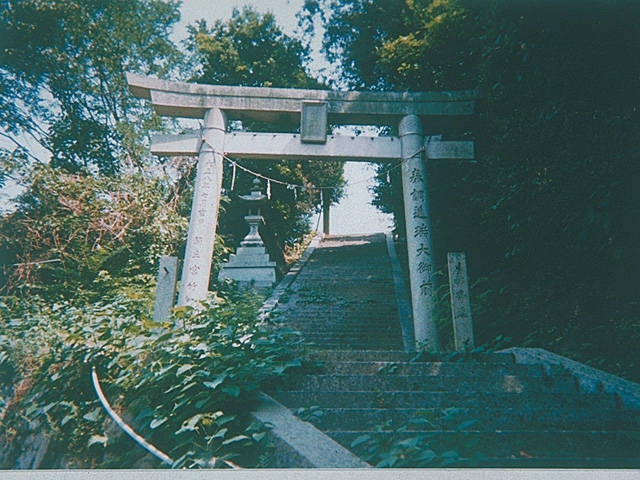 安芸灘とびしま海道で必ず行きたい ガイド編集部おすすめの自然地形スポット まっぷるトラベルガイド