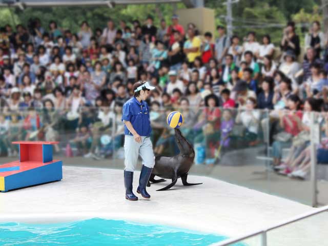 中国 四国で必ず行きたい ガイド編集部おすすめの水族館スポット まっぷるトラベルガイド