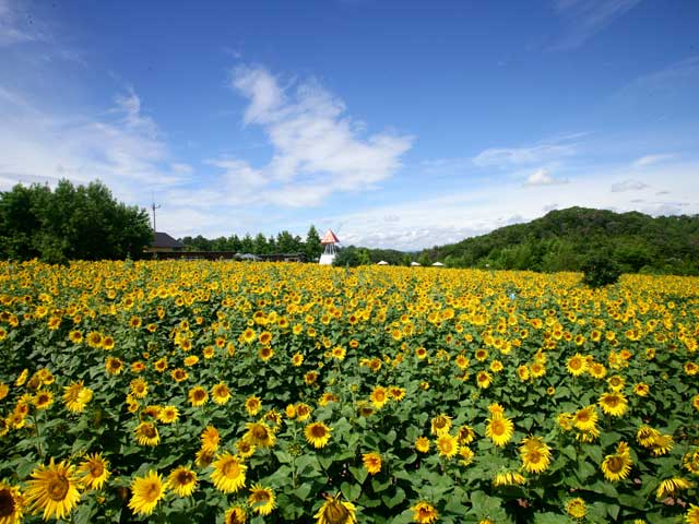 世羅高原農場の営業時間 場所 地図等の情報 まっぷるトラベルガイド