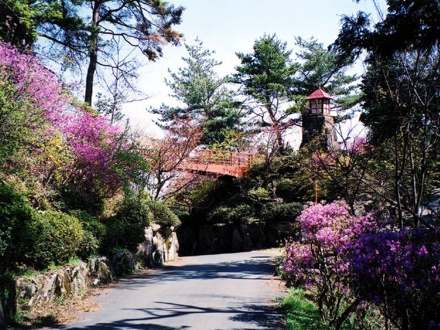 三次 庄原で必ず行きたい ガイド編集部おすすめの桜の名所スポット まっぷるトラベルガイド