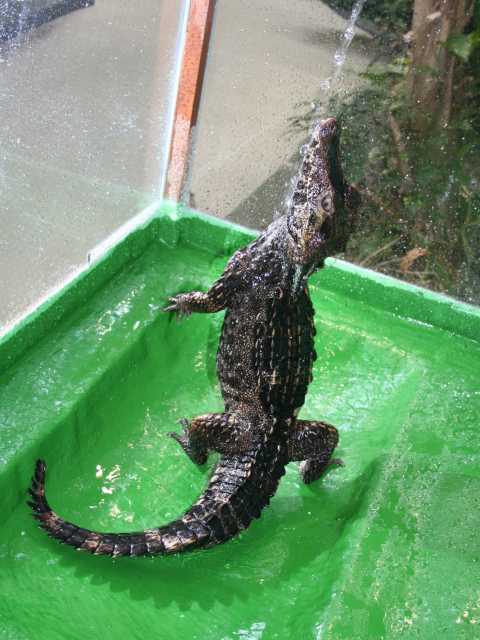 吉野生駅観光ならここ 吉野生駅でおすすめの観光 旅行スポット 21版 まっぷるトラベルガイド