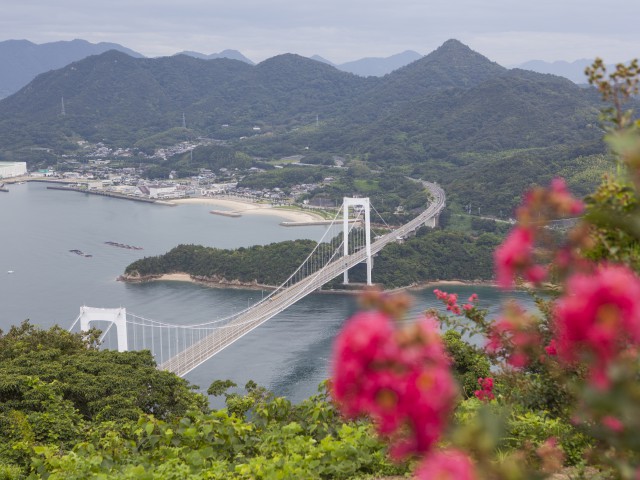 大三島 伯方島 大島に行くならここ ガイド編集部厳選のおすすめ観光 旅行スポット まっぷるトラベルガイド