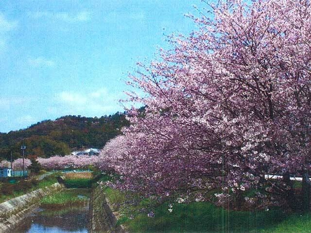 鶴姫公園の営業時間 場所 地図等の情報 まっぷるトラベルガイド