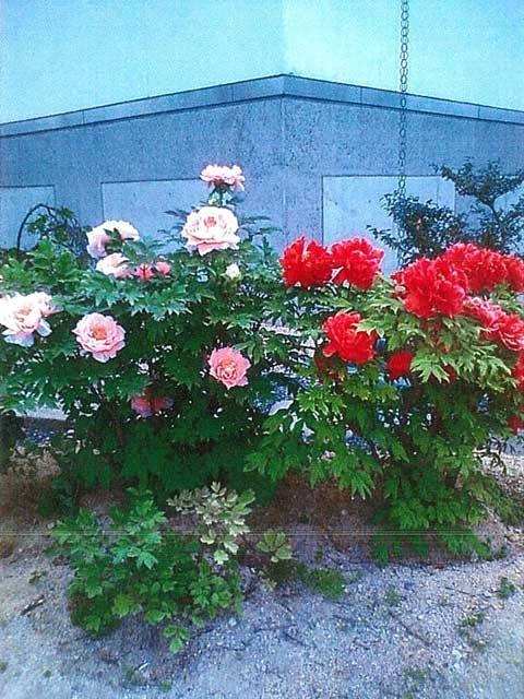 鶴姫公園の営業時間 場所 地図等の情報 まっぷるトラベルガイド