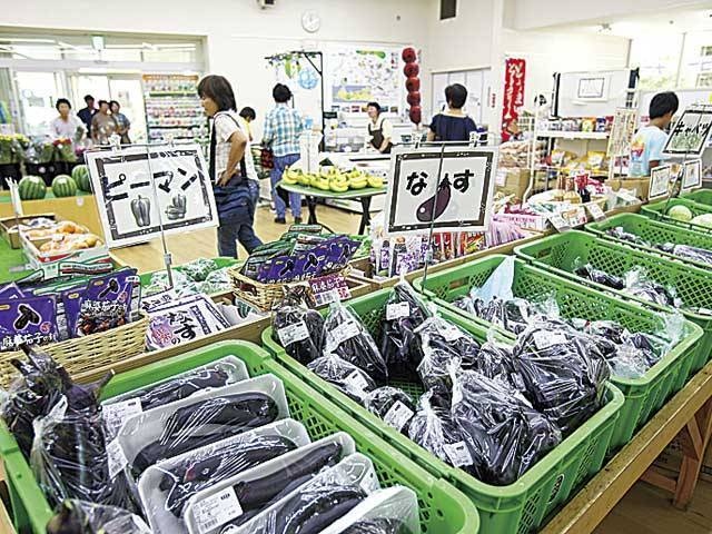 渥美半島 伊良湖岬で必ず行きたい ガイド編集部おすすめの観光農園 農場スポット まっぷるトラベルガイド