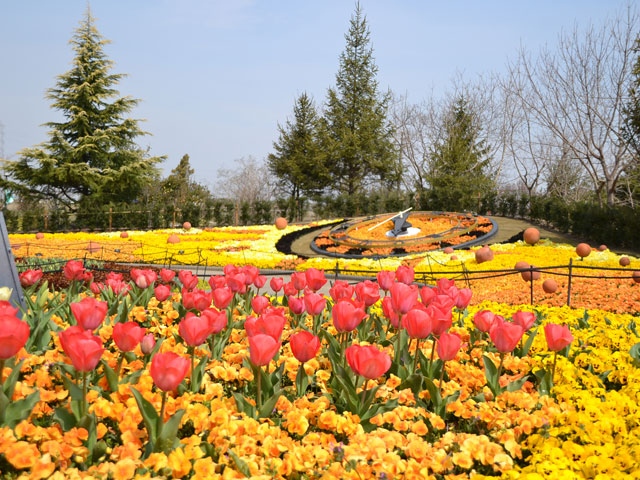 安城産業文化公園デンパーク | まっぷるウェブ