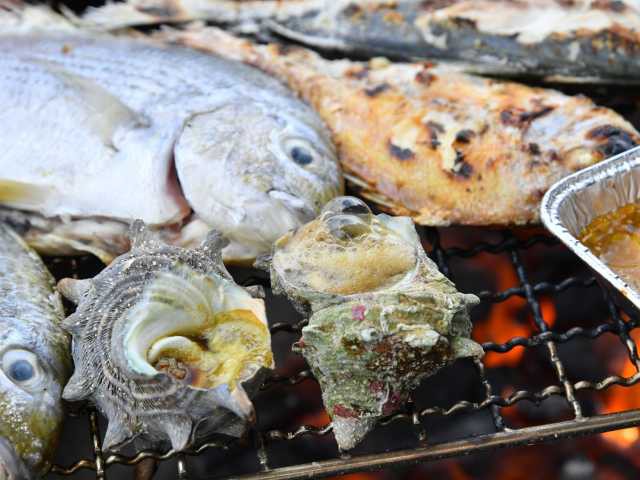 魚太郎 本店の営業時間・場所・地図等の情報  まっぷるトラベルガイド