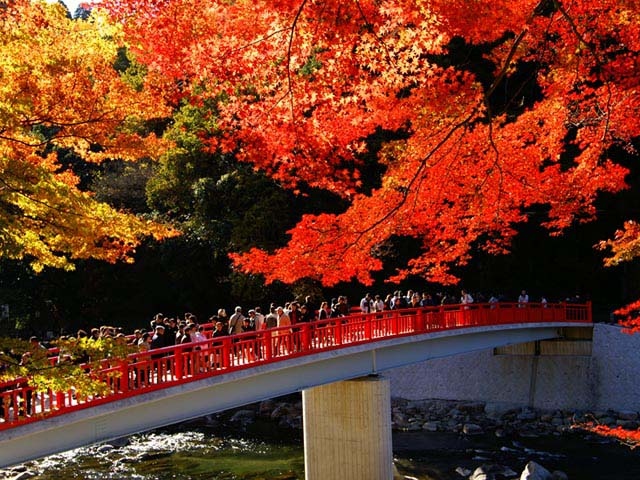 足助観光ならここ 足助でおすすめの観光 旅行スポット 21版 まっぷるトラベルガイド