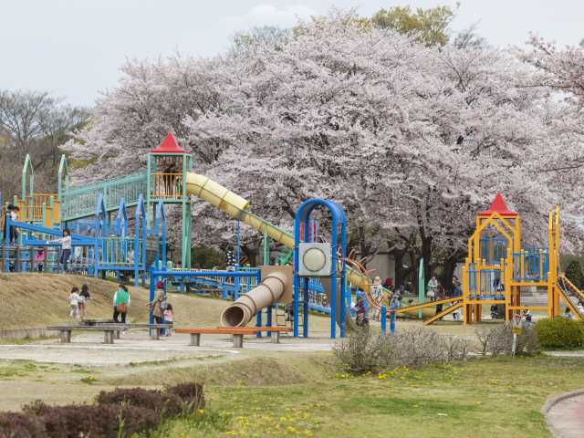 木曽川扶桑緑地公園の営業時間 場所 地図等の情報 まっぷるトラベルガイド