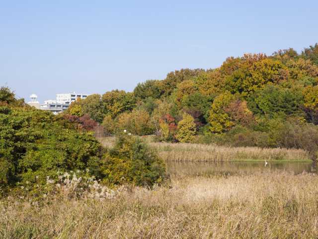 名古屋市天白区観光ならここ!名古屋市天白区でおすすめの人気観光・旅行スポット - 2026版 | まっぷるウェブ