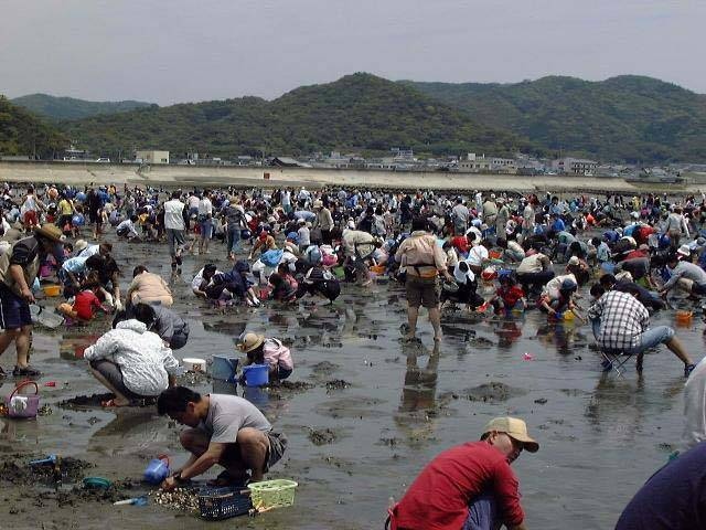 ここがおすすめ ガイド編集部厳選の日本の潮干狩りスポット まっぷるトラベルガイド