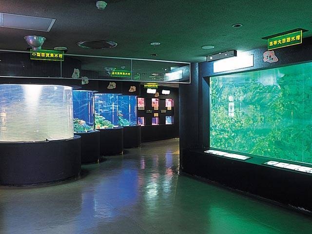 長岡市寺泊水族博物館の営業時間 場所 地図等の情報 まっぷるトラベルガイド